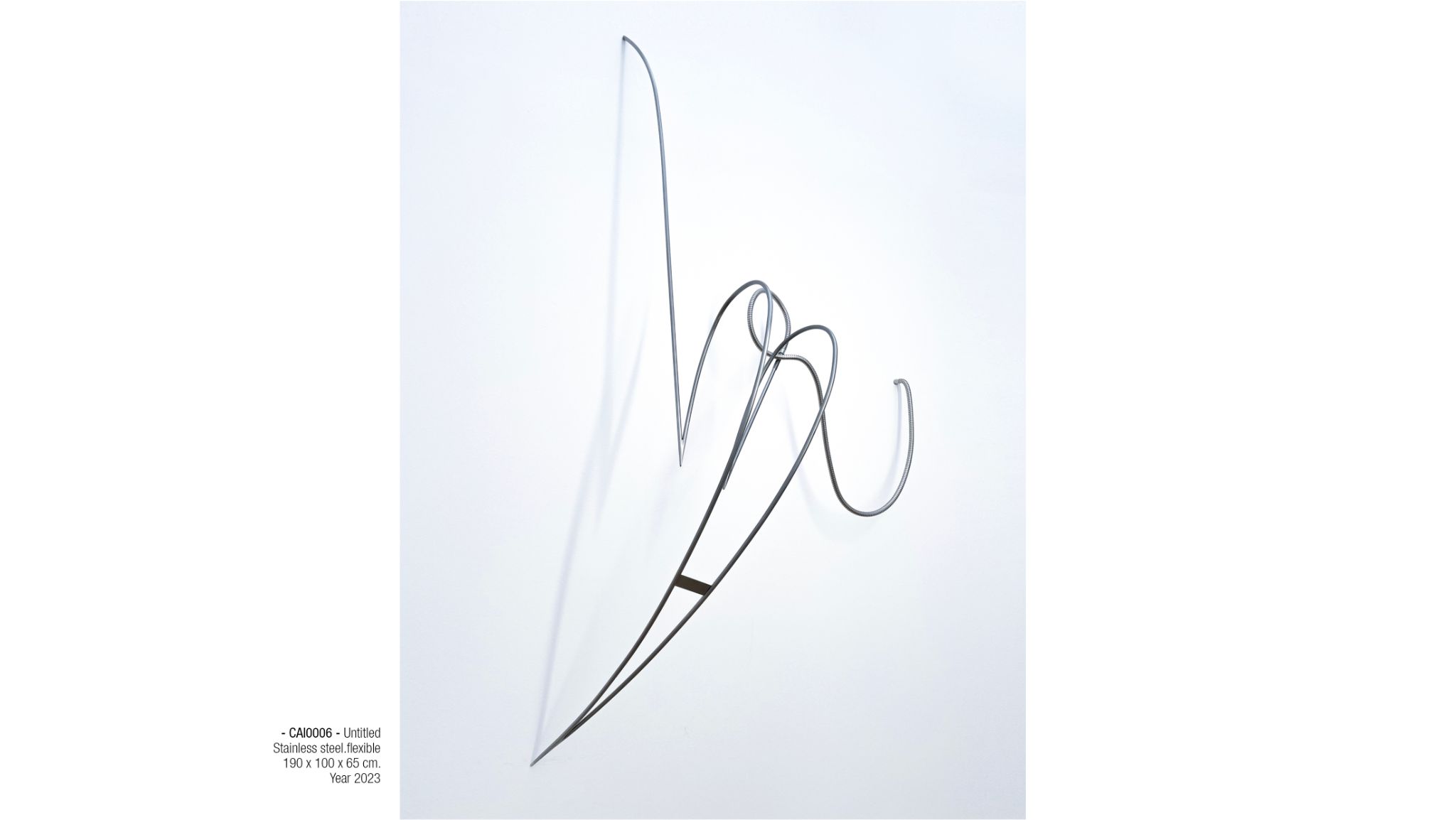 2025 DM port.para web. P172